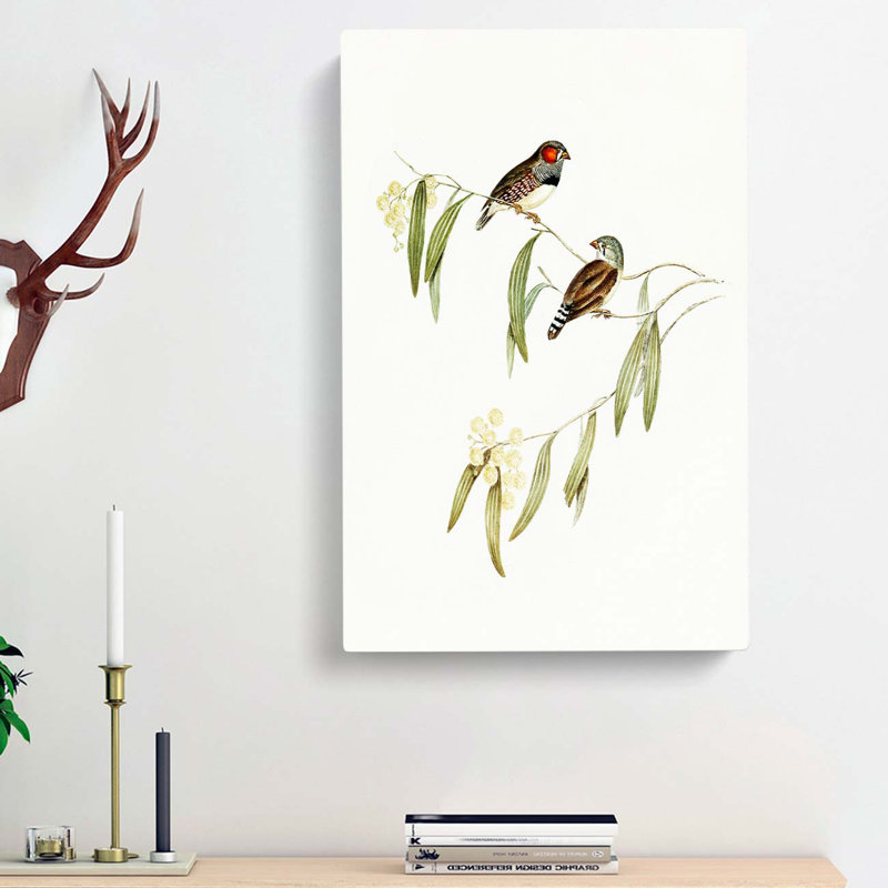 Chestnut-eared Finch by Elizabeth Gould - Wrapped Canvas, 50cm H x 35cm W x 3cm D