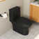 Ally Dual-Flush Elongated One-Piece Toilet with Glazed Surface Modern Toilet with Comfort Seat Height  (Seat Included)