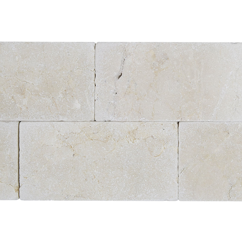 Marble Collection 6" x 3" Natural Stone Field Tile in Crema Marfil Classico