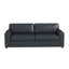 Canapé en cuir Latitude Run® Caro-1552956720