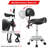 Saddle Stool With Back Support, Rolling Stools With Foot Rest, Ergonomic Adjustable Stool With Wheels, Backrest Adjustable Height & Angle For Salon Spa Tattoo Massage Office Swivel Stool Chair.