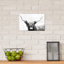 Highland Longhorn by Danita Delimont - Print on Canvas-1145362435-1172184302