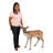 Spotted Deer, Forest Fawn Sculpture