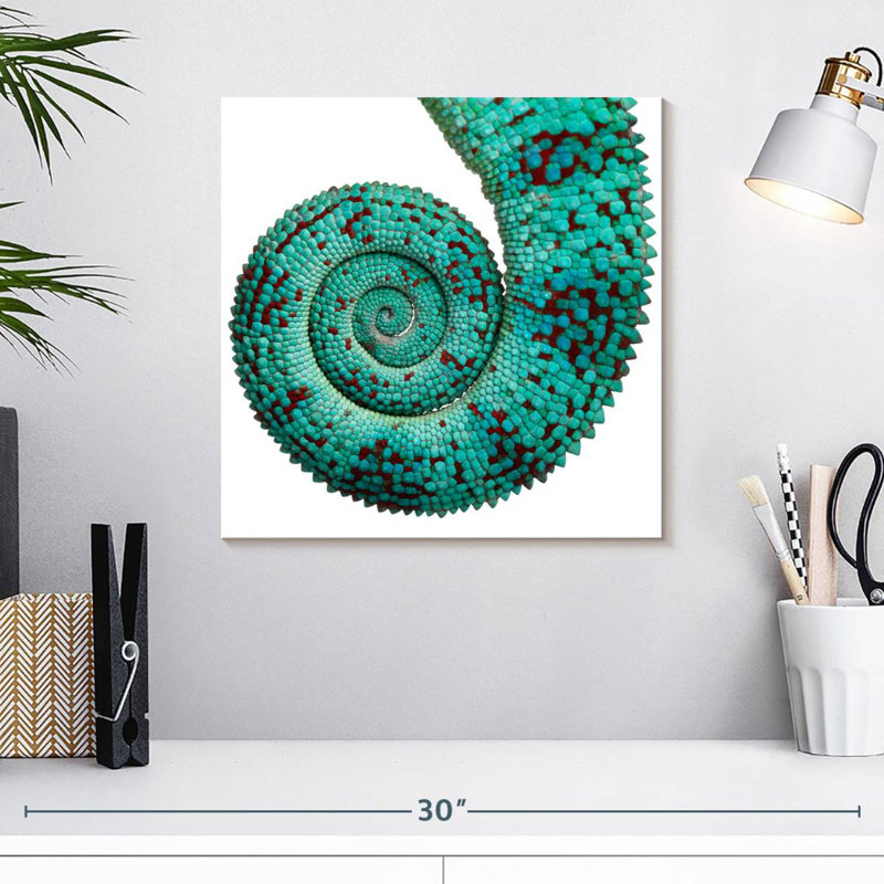 Crowle Chameleon Tail