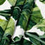 Tapisserie murale Légumes Collard Greens-133639116