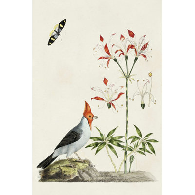 Bird in Habitat I - Impression sur toile tendue