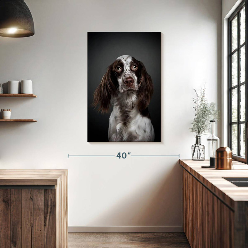 Adorable setter anglais, H 39 po x l 26 po