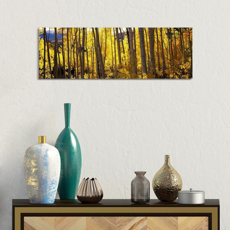 Aspen Trees In Autumn, Colorado, USA - Wrapped Canvas Panoramic Print, 30.48 cm H x 91.44 cm W x 1.91 cm D