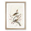 Hermit Thrush Birds by John Audubon - Picture Frame Painting Print-55580161-55580162