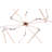 Isotope LED Modern Linear Chandelier