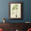 «Curtis Ferns I», reproduction sur toile encadrée-73987483