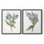 «Blue Tulip Picks I», reproduction encadrée de qualité supérieure - prête à être accrochée - aucun clou requis - aucun clou requis-338982219-338982203