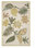 Foglia Decorativa Moss Rug