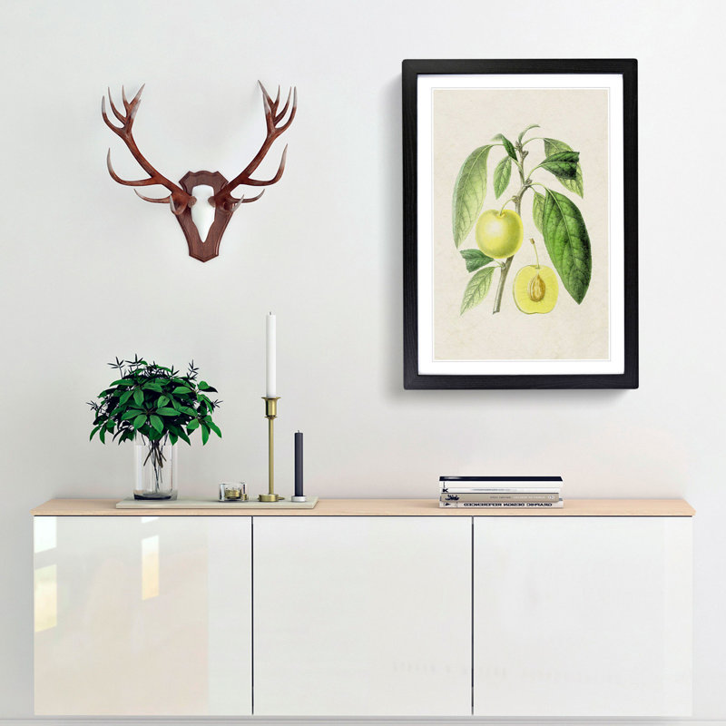 Prune Fruit Illustration - Framed Print, 48cm H x 36cm W x 2cm D, Black Framed