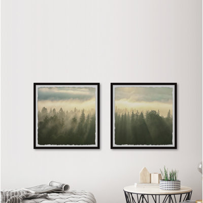 Monaco Monaco Sunlight Through Trees - 2 Piece Single Picture Frame Print
