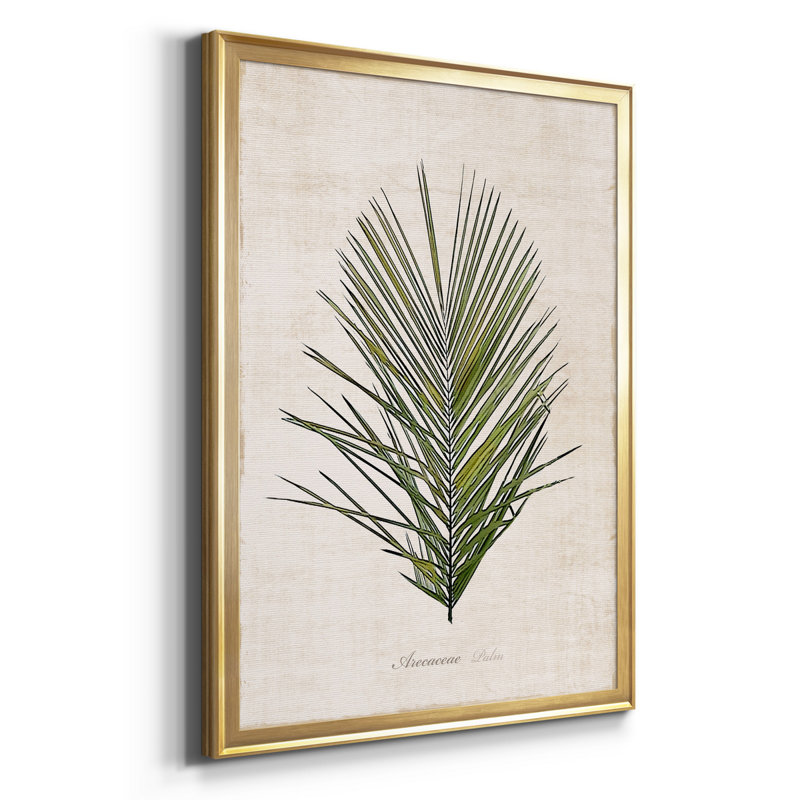 Palmier botanique I - impression, H 22,5 po x l 30,5 po x P 1,5 po, Or