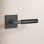 Hercules Privacy Door Lever