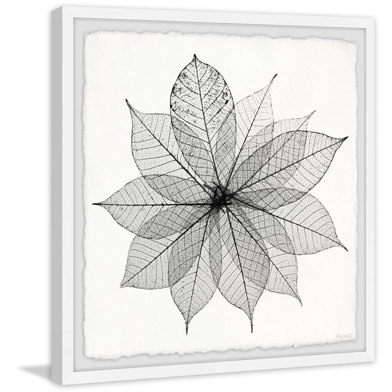 Leaf Structure - Single Picture Frame Painting, 81cm H x 81cm W x 3.81cm D