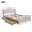 Capavella Upholstered Storage Bed-435737162