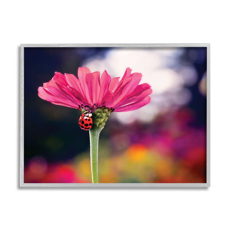 Coccinelle avec fleur rose par Karen Burke, H 11 po x l 14 po x P 1,5 po, Giclée encadrée noir minuit