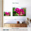 Orchidée Harnek-108736230
