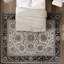 Sultanabad Wool Oriental Area Rug