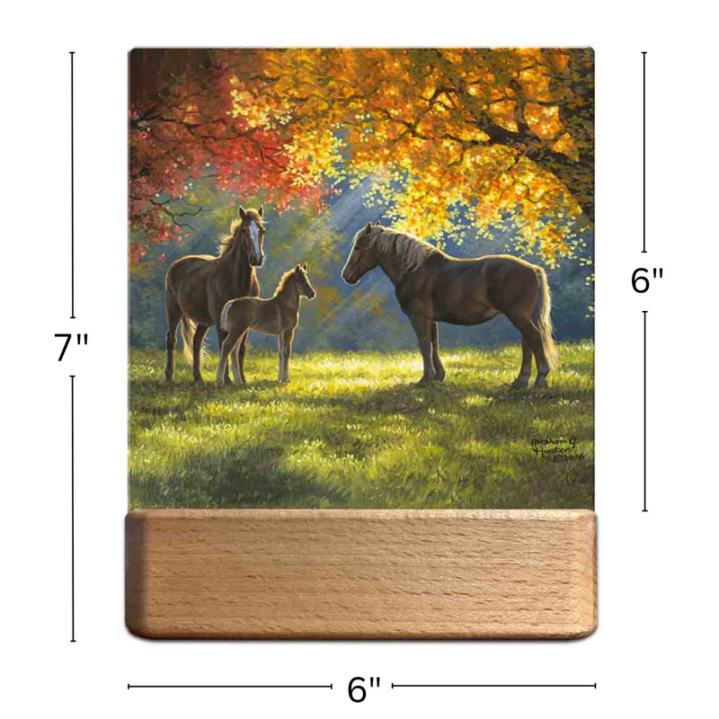 Family Moment LED Nightlight