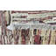 Hand-Knotted High-Quality Beige Area Rug