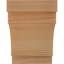 Sapin Douglas-64728028-101900804