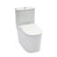 Toilette monobloc en céramique pour salle de bain, 12 po à chasse brute, 1,1 / 1,6 GPF, double chasse avec siège à fermeture en douceur, double chasse puissante CARTE 800G