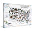 'US Animals II' Print On Wrapped Canvas-438557696