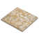 Charlotte 8.03 in. x 8.03 in. Textured Porcelain Floor and Wall Tile