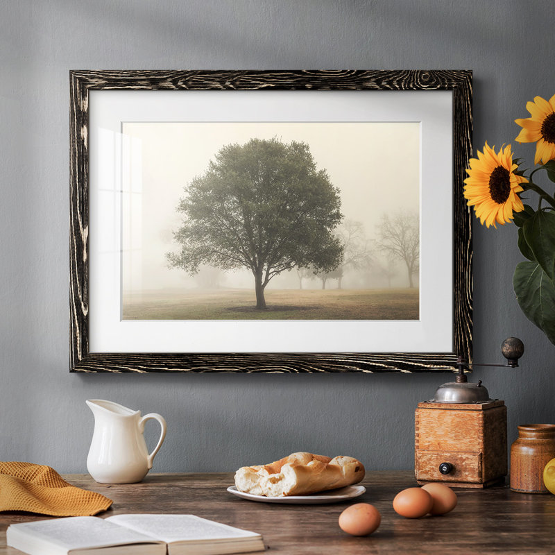 Arbres dans le brouillard I, H 28 po x l 42 po, Noir