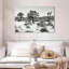 Alvord Black Arizona - Beautiful Joshua Trees-107859781