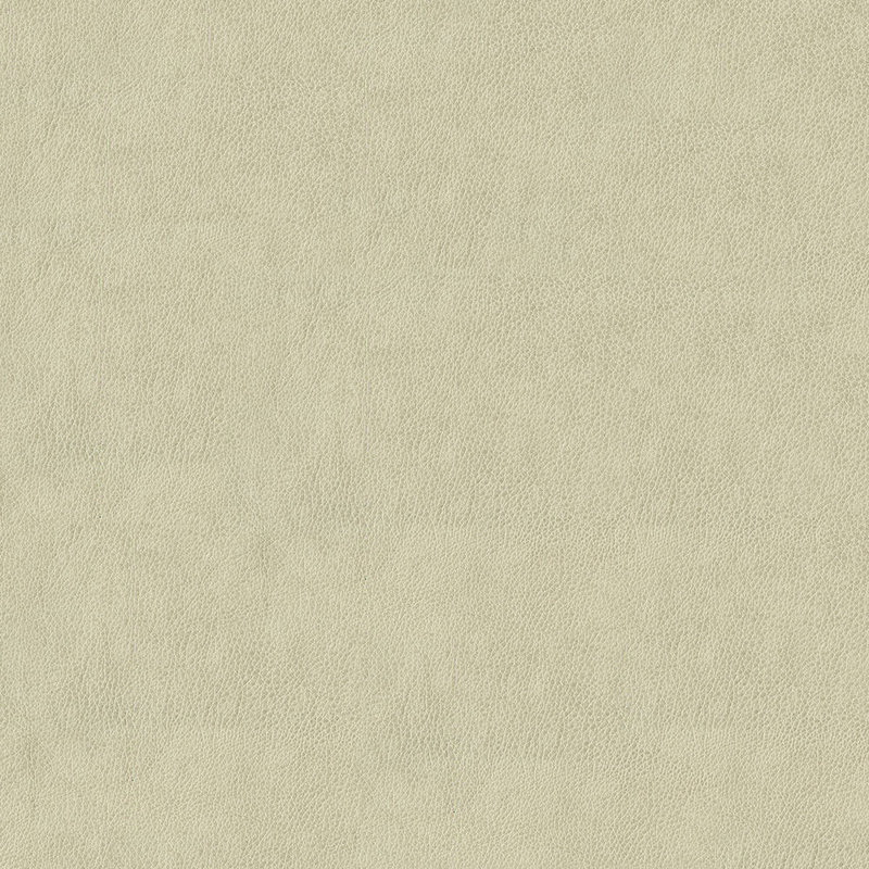 Tissu Baldwin, Os