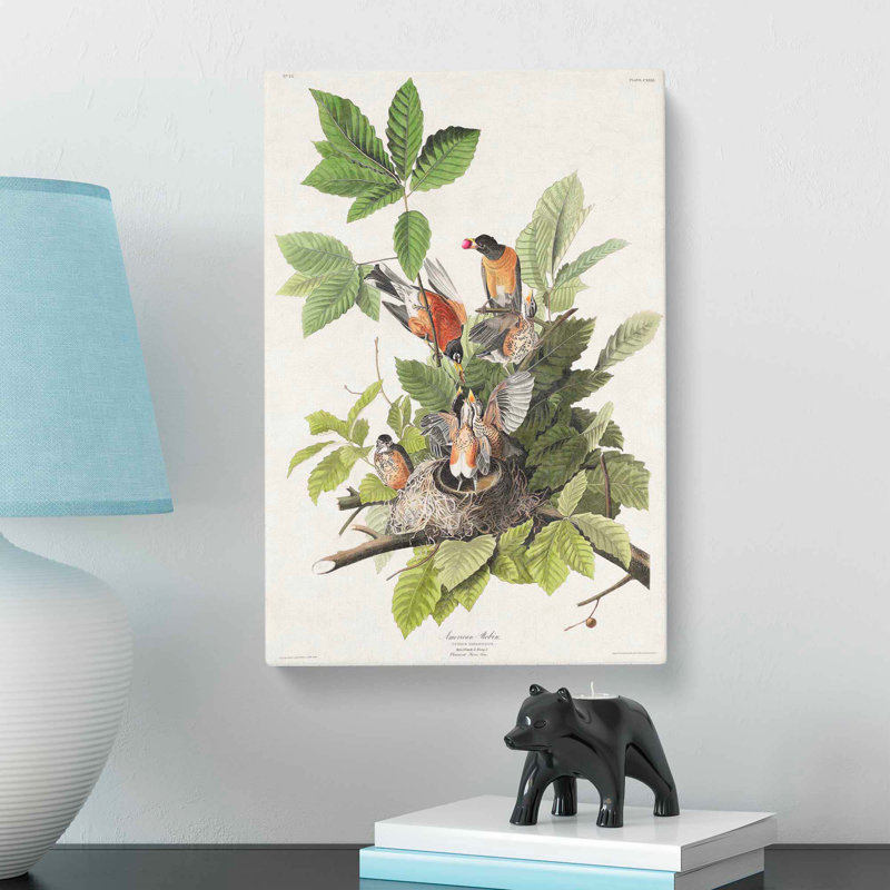 American Robins by John Audubon - Wrapped Canvas, 76cm H x 50cm W x 3cm D