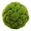 Moss Vase Filler-1474463026