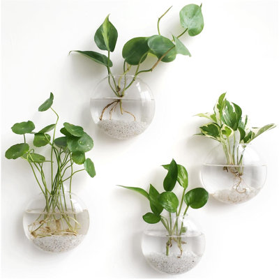Wall Hanging Propagation Vases Set Of 4
