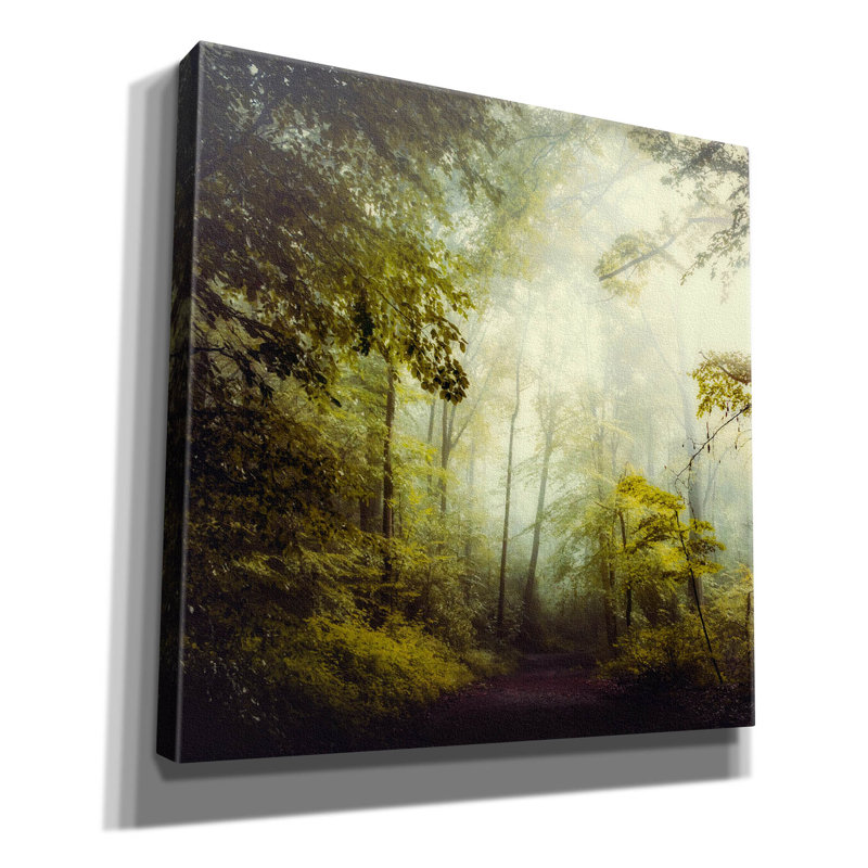 Art mural sur toile Foundry Select «Glorious Woods» par Dirk Wustenhagen, 37 po x 37 po
