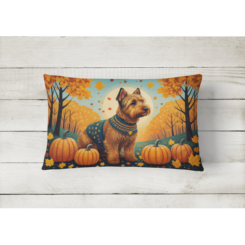 Other/No Pattern Outdoor Throw Pillow