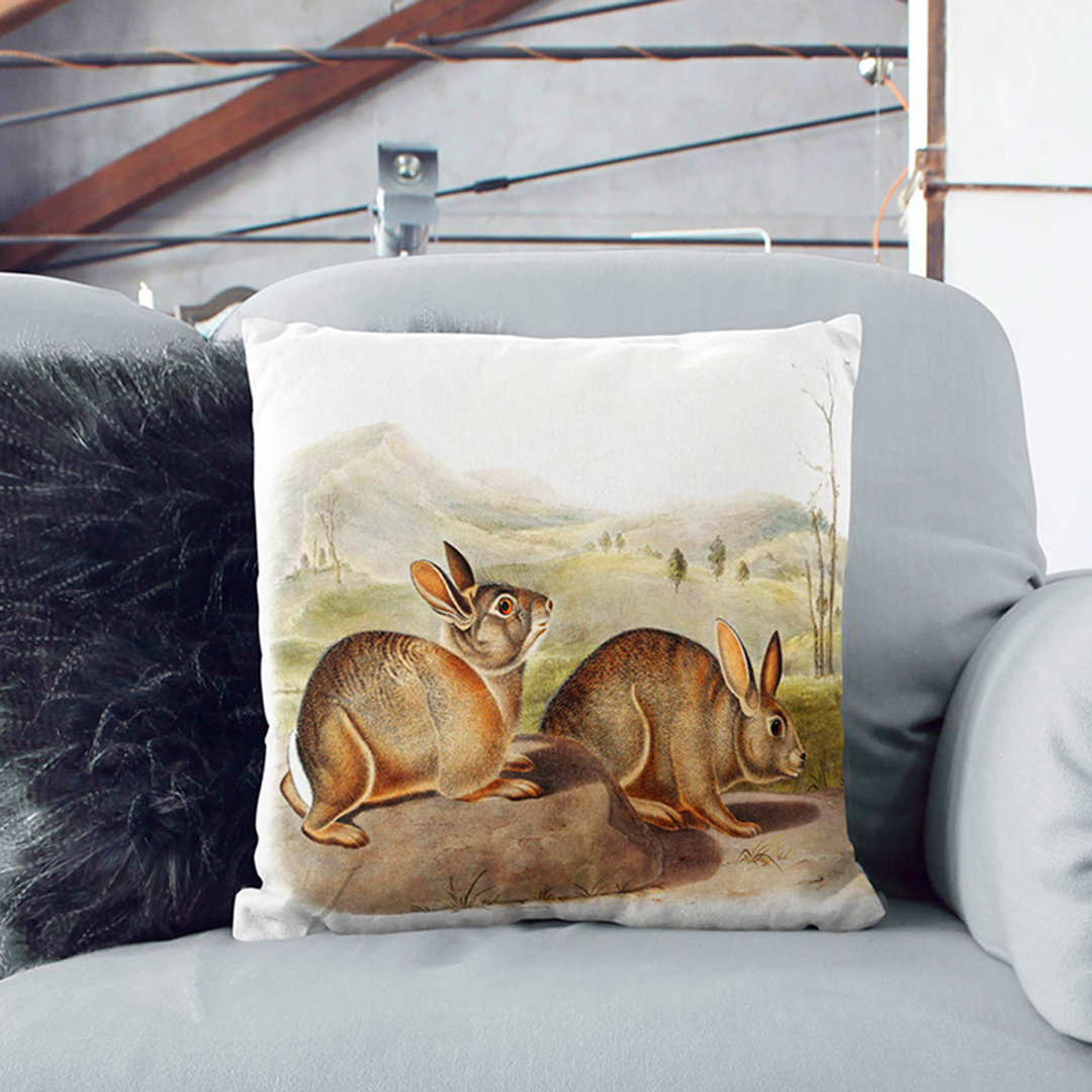 Bachmans Hares by J.W. Audubon Cushion with Filling