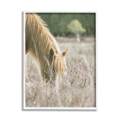 " Peaceful Palomino Horse Grazing Countryside Meadow " by Leah Straatsma