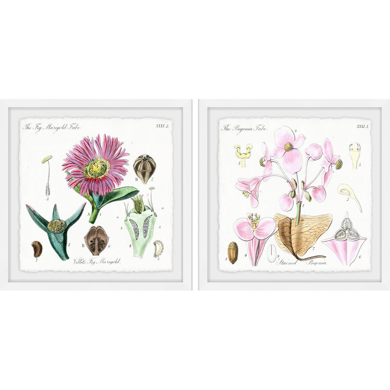 «Pink Plant pair Diptych», ensemble de 2 reproductions de cadres photo, H 18 po x l 18 po x L 1,5 po