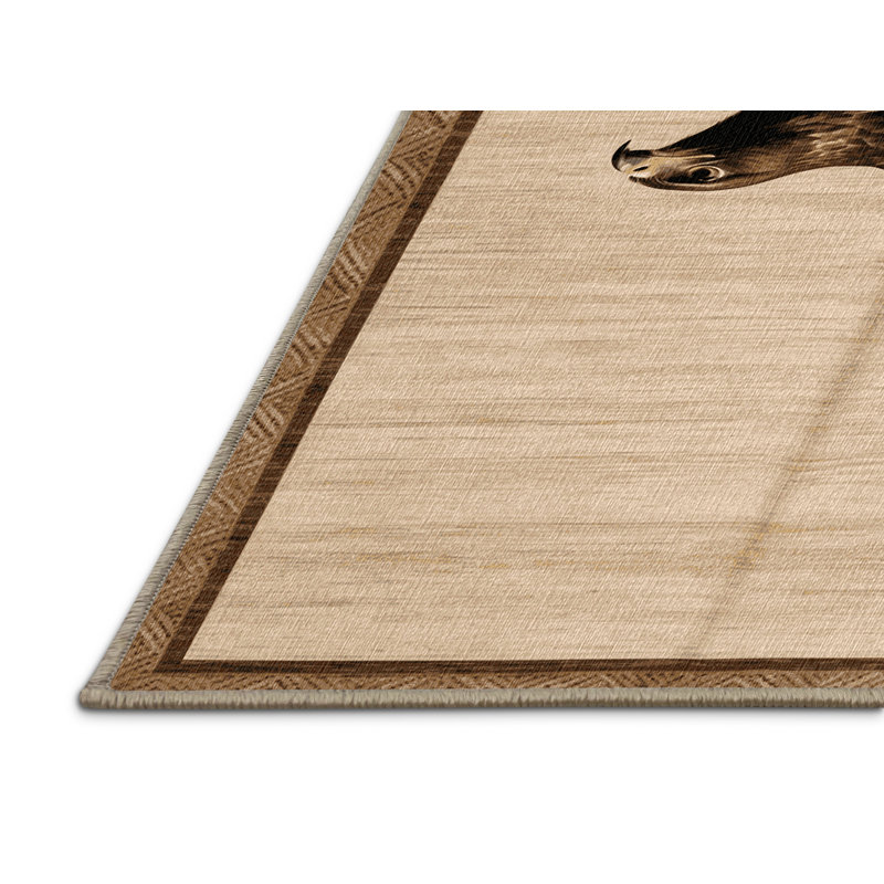 Washable Zone tailed Hawk Birds Area Rug, Rectangle 3' x 5'