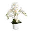 Arrangement de soie orchidée en pot