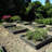 Raised Garden Bed (1 Bed, No Enclosure)