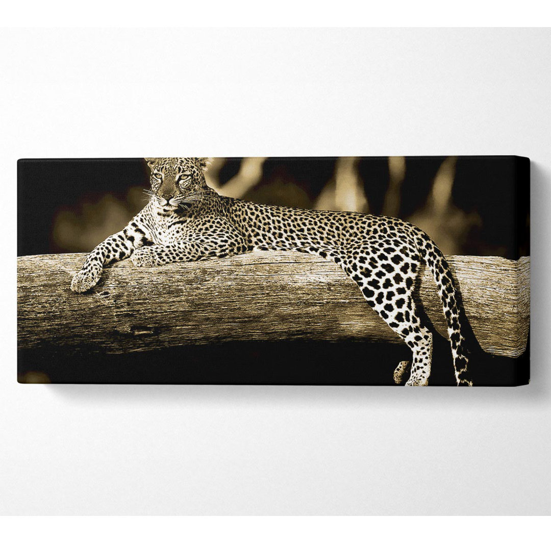 Leopard Lazy Days - Kunstdrucke auf Leinwand