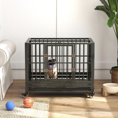 B2535377 Pet