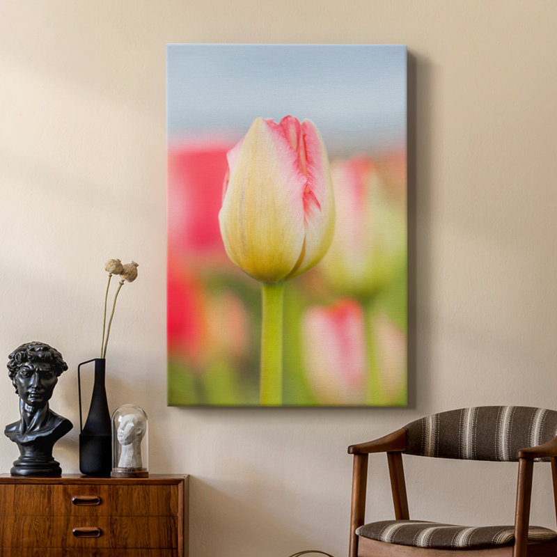 Twotone tulipe - galerie Cavas sur mesure, H 36 po x l 24 po