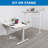 Mount-It Ultimate Dual Motor Electric Standing Desk with 48" Tabletop-884528142-884528177